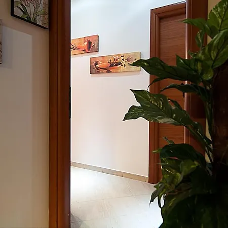 فندق مبيت وإفطار Jolie